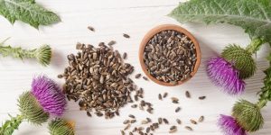 Armurariul Armurariul