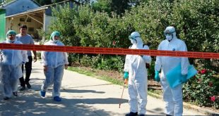 Focar de gripă aviară în Portul Constanța: o amenințare care cere vigilență absolută