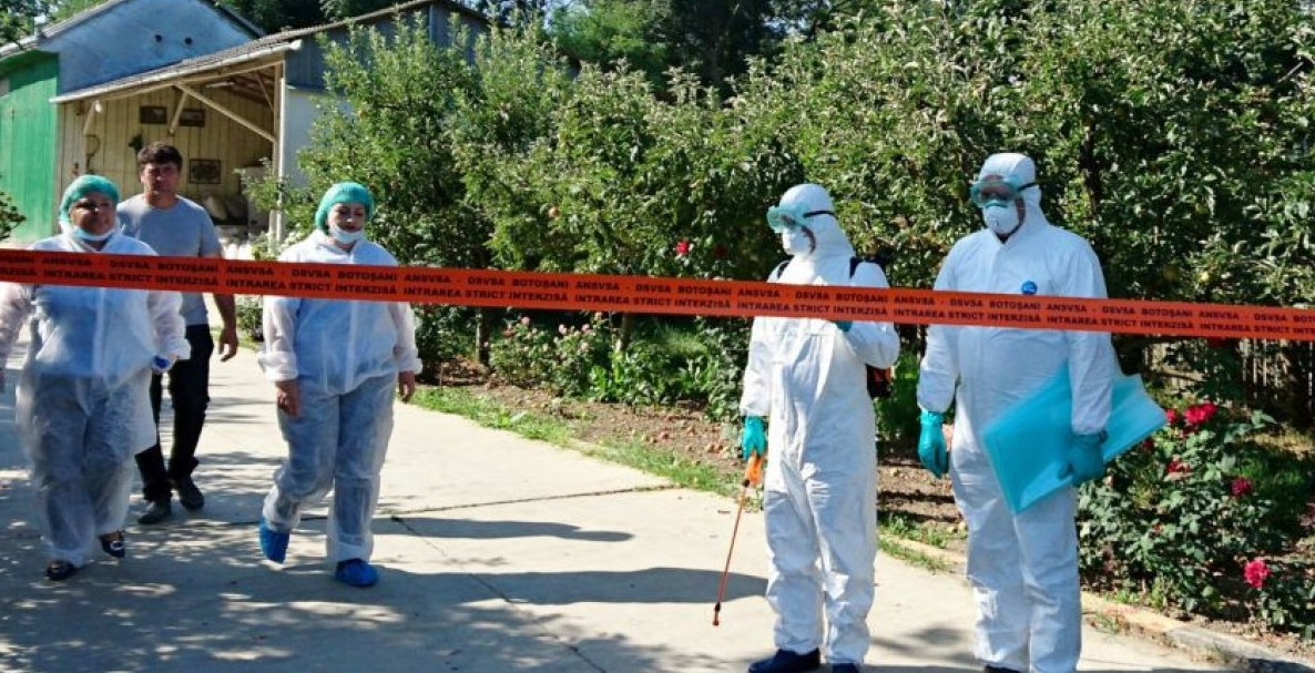 Focar de gripă aviară în Portul Constanța: o amenințare care cere vigilență absolută